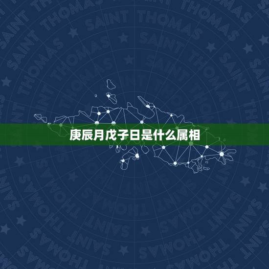 庚辰月戊子日是什么属相,八字: 庚辰 年 戊子 月 庚子 日 甲申 时 庚辰月戊子日是什么属相,八字: 庚辰 年 戊子 月 庚子 日 甲申 时