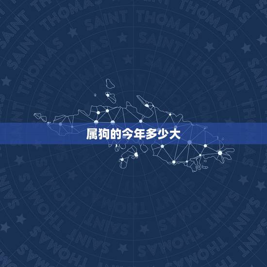 属狗的今年多少大,属蛇的今年多大 属狗的今年多少大,属蛇的今年多大