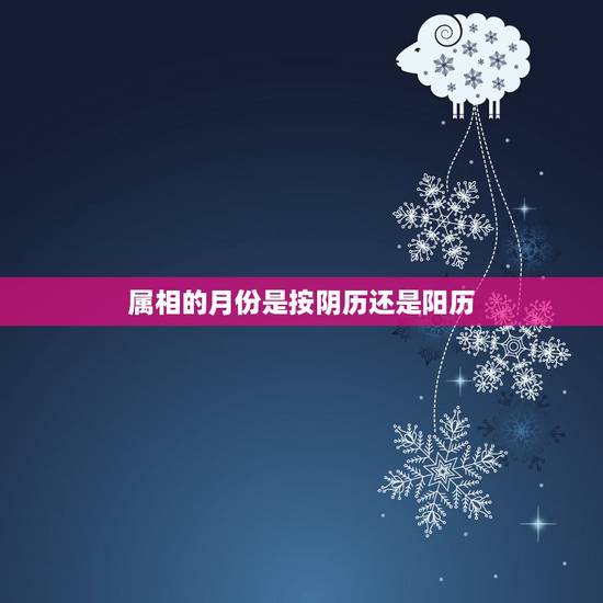 属相的月份是按阴历还是阳历，属相是按农历还是按阳历？