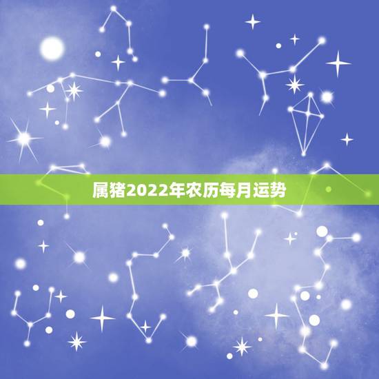 属猪2022年农历每月运势，属猪的2022年虎年运势怎么样