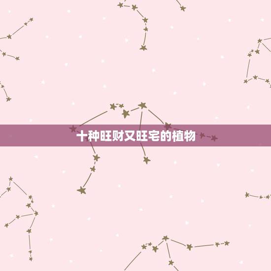 十种旺财又旺宅的植物，家里最旺财的十种花