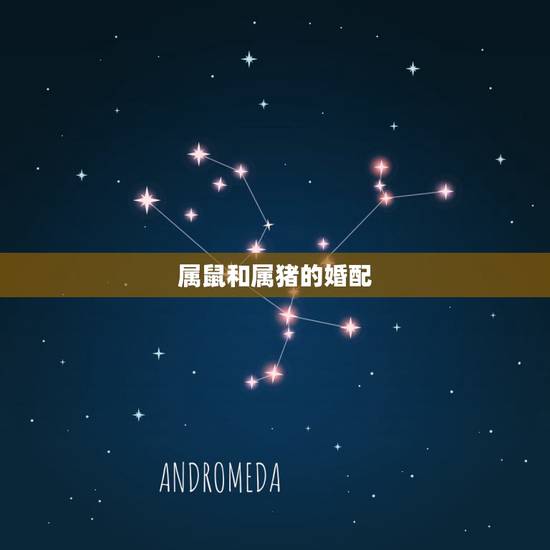 属鼠和属猪的婚配,女猪和男鼠可以配婚姻吗 属鼠和属猪的婚配,女猪和男鼠可以配婚姻吗