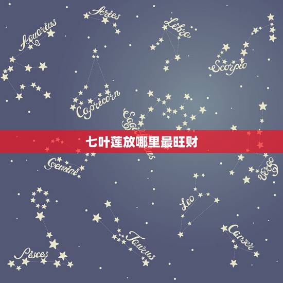七叶莲放哪里最旺财,七叶莲应该放在大厅的什么位置 七叶莲放哪里最旺财,七叶莲应该放在大厅的什么位置