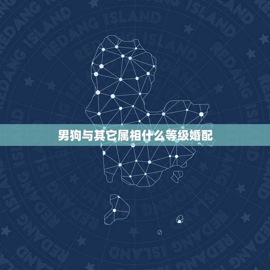 男狗与其它属相什么等级婚配,属狗男的和什么属相最配 男狗与其它属相什么等级婚配,属狗男的和什么属相最配
