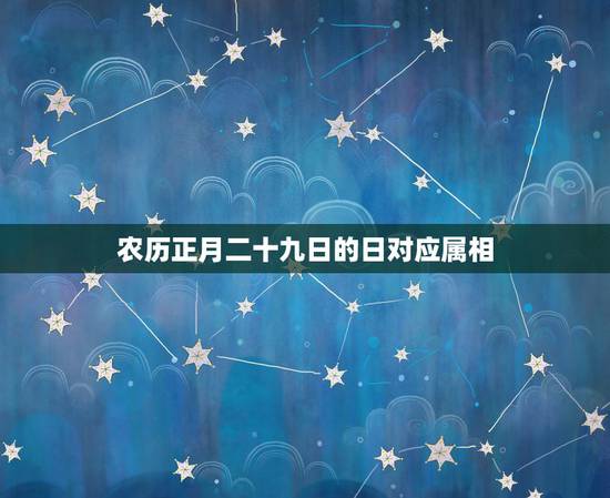 农历正月二十九日的日对应属相，2017年正月二十九什么生肖值日