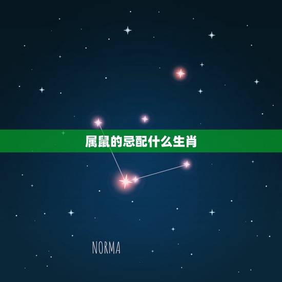 属鼠的忌配什么生肖,属鼠的和什么属相不合 属鼠的忌配什么生肖,属鼠的和什么属相不合