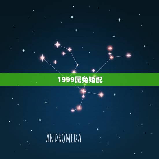 1999属兔婚配，我想请问一下1997年属牛男和