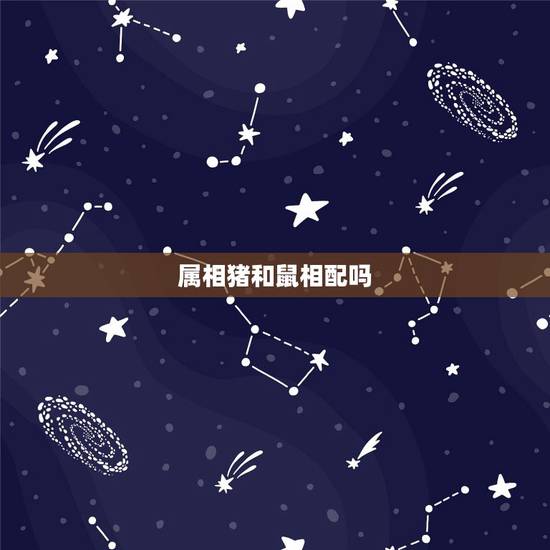 属相猪和鼠相配吗,属虎和属猪的合不合 属相猪和鼠相配吗,属虎和属猪的合不合