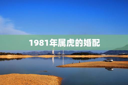 1981年属虎的婚配，1986年属虎男婚配1981年属鸡女好吗