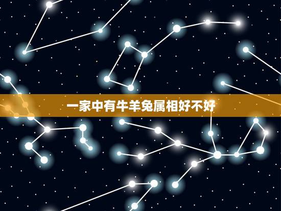 一家中有牛羊兔属相好不好，牛和兔属相合不合财