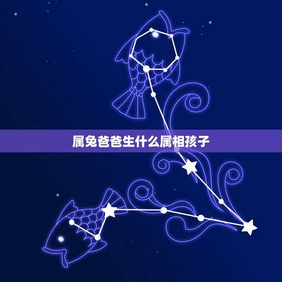 属兔爸爸生什么属相孩子,爸爸属兔妈妈属虎要个什么属相的宝宝好呢 属兔爸爸生什么属相孩子,爸爸属兔妈妈属虎要个什么属相的宝宝好呢