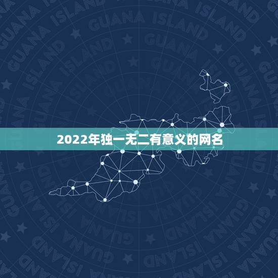 2022年独一无二有意义的网名，世界上有哪些独一无二的网名