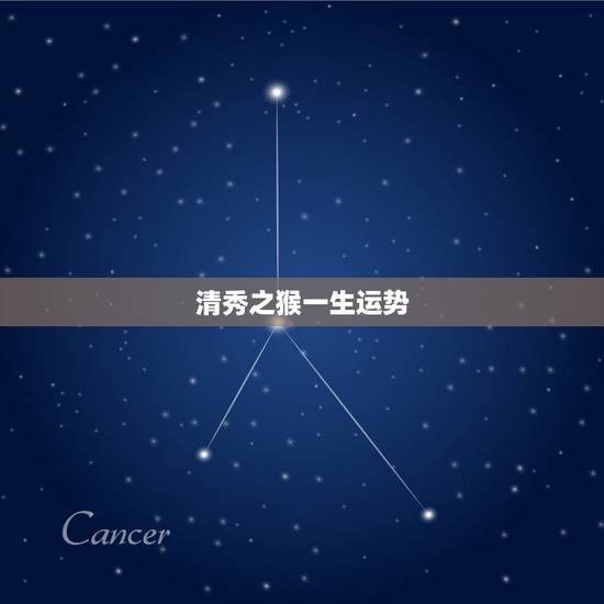 清秀之猴一生运势,属猴的金木水火土那个命最好? 清秀之猴一生运势,属猴的金木水火土那个命最好?