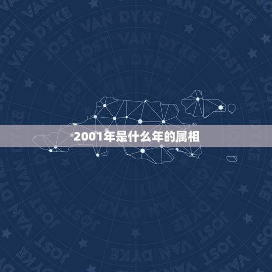 2001年是什么年的属相,2001年是什么生肖年? 2001年是什么年的属相,2001年是什么生肖年?