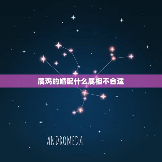 属鸡的婚配什么属相不合适，93年生的人和属什么生肖的相配