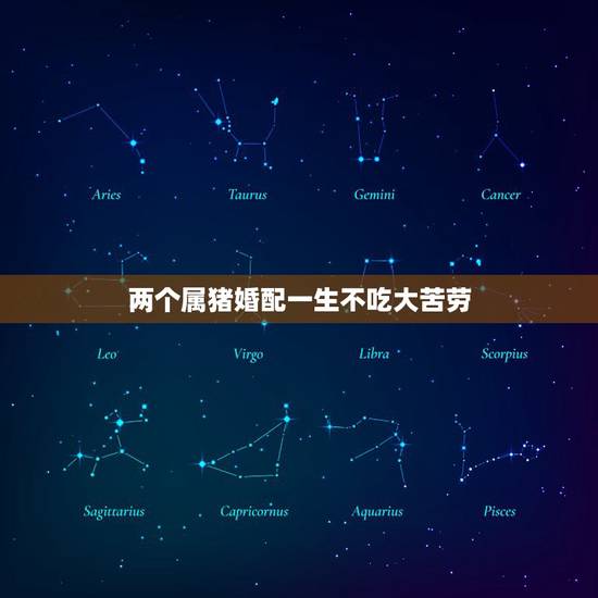 两个属猪婚配一生不吃大苦劳,两个属猪的人相配吗 两个属猪婚配一生不吃大苦劳,两个属猪的人相配吗