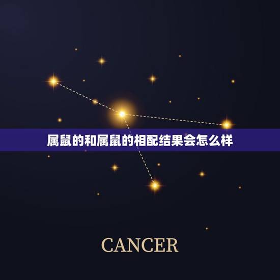 属鼠的和属鼠的相配结果会怎么样,属鼠和属鼠的相配吗 属鼠的和属鼠的相配结果会怎么样,属鼠和属鼠的相配吗