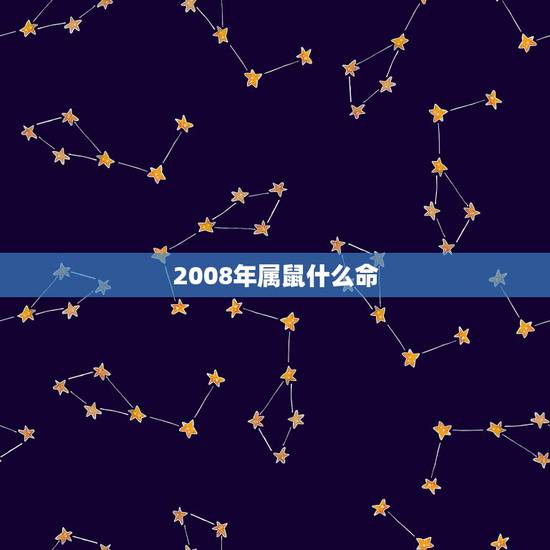 2008年属鼠什么命,2008年属鼠的男孩一生的命运 2008年属鼠什么命,2008年属鼠的男孩一生的命运