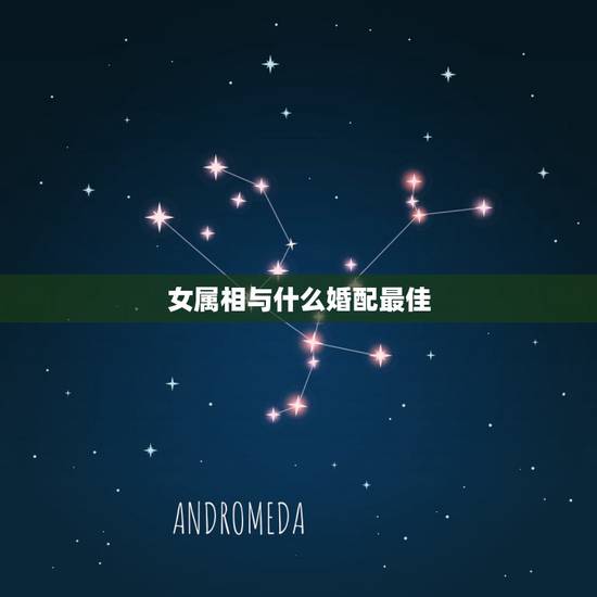 女属相与什么婚配最佳，属狗的女孩和什么属相婚配最好
