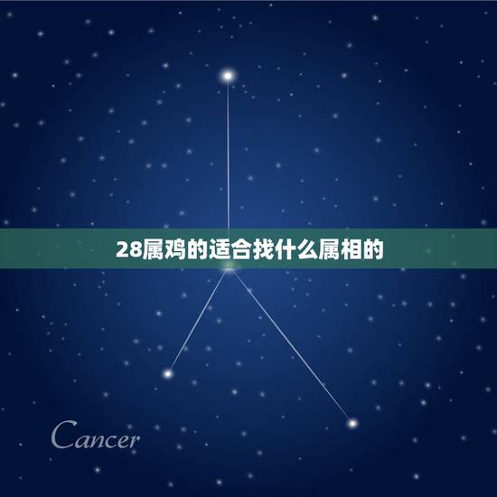 28属鸡的适合找什么属相的，生肖属鸡的找对象应该找个属什么的？