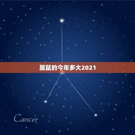 属鼠的今年多大2021，属牛今年多大岁