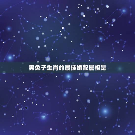 男兔子生肖的最佳婚配属相是，十二生肖属兔的最佳配偶是哪个