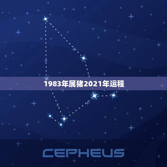 1983年属猪2021年运程,83年的属猪女在2021年的运势怎么样 1983年属猪2021年运程,83年的属猪女在2021年的运势怎么样