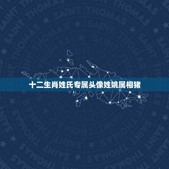 十二生肖姓氏专属头像姓姚属相猪，百家姓QQ头像姓姚，女