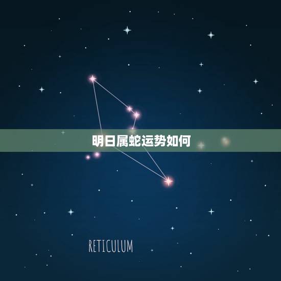 明日属蛇运势如何，属蛇今年运势如何