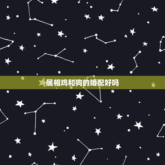 属相鸡和狗的婚配好吗,男属鸡女属狗配婚好吗? 属相鸡和狗的婚配好吗,男属鸡女属狗配婚好吗?