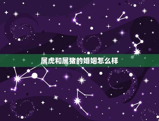 属虎和属猪的婚姻怎么样,1998虎和1995猪相配吗 属虎和属猪的婚姻怎么样,1998虎和1995猪相配吗