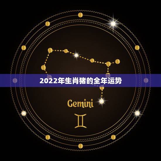 2022年生肖猪的全年运势，1983年属猪2022年运势