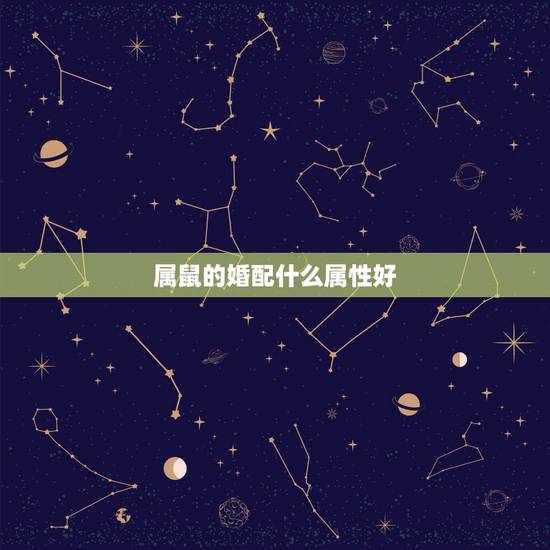 属鼠的婚配什么属性好，属鼠与属猪婚配好不好
