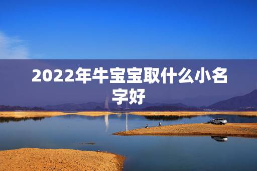 2022年牛宝宝取什么小名字好，有牛字的公司名字
