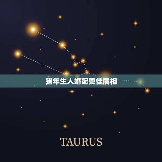 猪年生人婚配更佳属相,今年属猪的姻缘怎么样 猪年生人婚配更佳属相,今年属猪的姻缘怎么样
