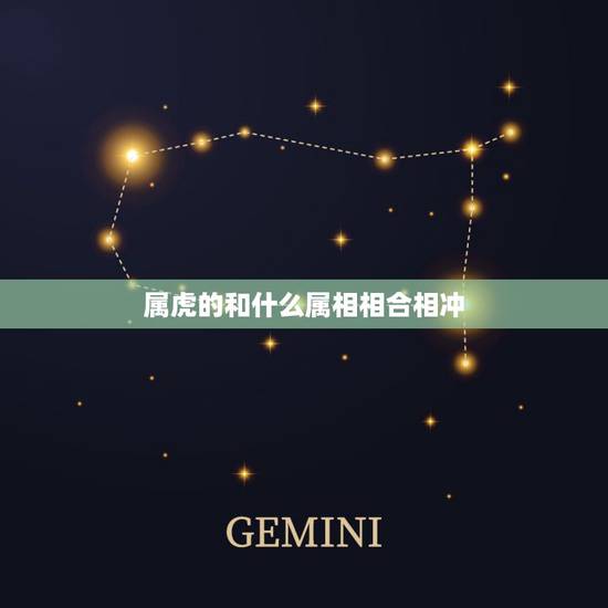 属虎的和什么属相相合相冲，虎跟什么相冲