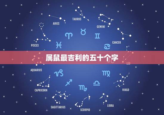 属鼠最吉利的五十个字，属鼠人带来财运的 名