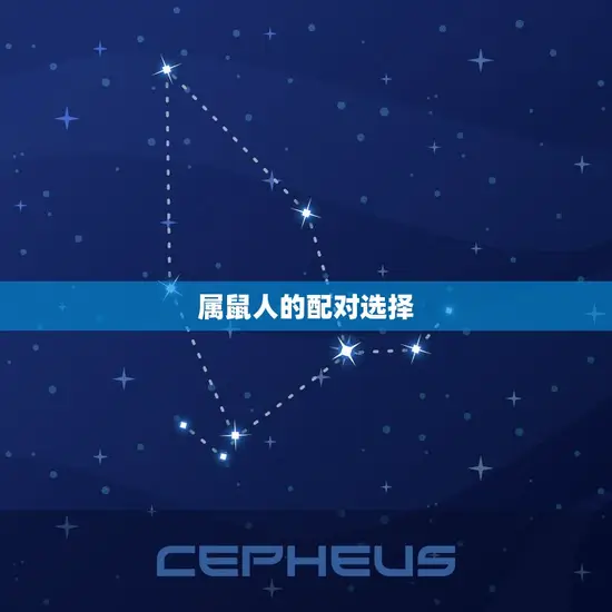 属鼠人的配对选择