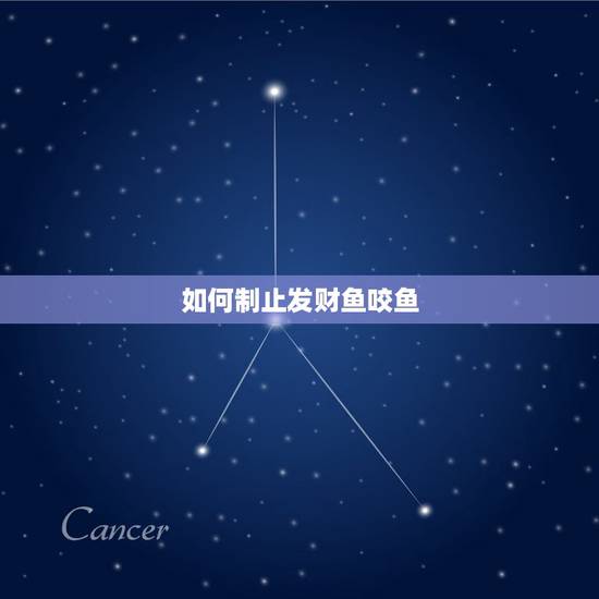 如何制止发财鱼咬鱼,家里的雀鳝被9条发财鱼咬了,会死吗、可以制止吗 如何制止发财鱼咬鱼,家里的雀鳝被9条发财鱼咬了,会死吗、可以制止吗