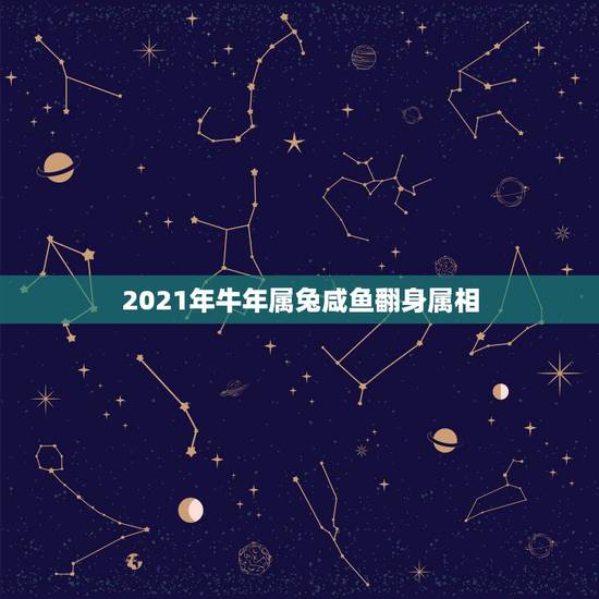 2021年牛年属兔咸鱼翻身属相,2021年最吉利的四大属相 2021年牛年属兔咸鱼翻身属相,2021年最吉利的四大属相