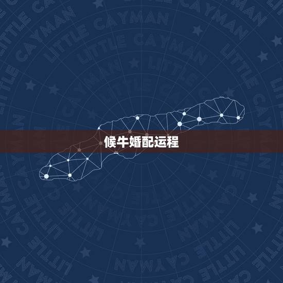 候牛婚配运程，侯和牛白头偕老吗？