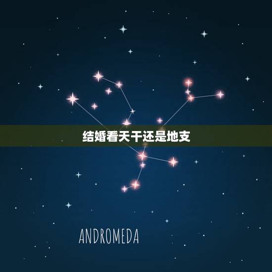结婚看天干还是地支,结婚日的天干地支与自己的生日天干地支相同可以用吗? 结婚看天干还是地支,结婚日的天干地支与自己的生日天干地支相同可以用吗?