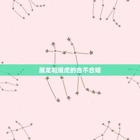 属龙和属虎的合不合婚，属虎的和虎龙的结婚好不好