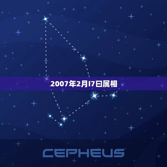 2007年2月I7曰属相，2007年属什么生肖？