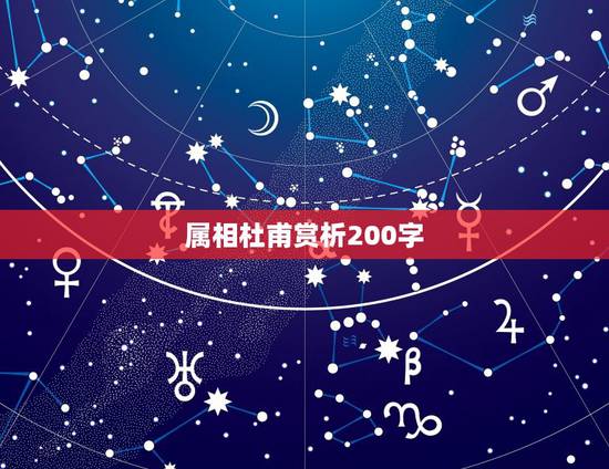 属相杜甫赏析200字，求“杜甫的《蜀相》赏析、杨慎的《武候庙》赏析 各