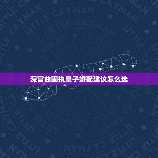 深宫曲固执皇子婚配建议怎么选，深宫曲怎么下毒嫁祸