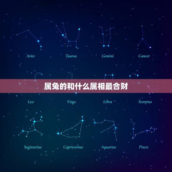 属兔的和什么属相最合财,兔跟什么相合 属兔的和什么属相最合财,兔跟什么相合