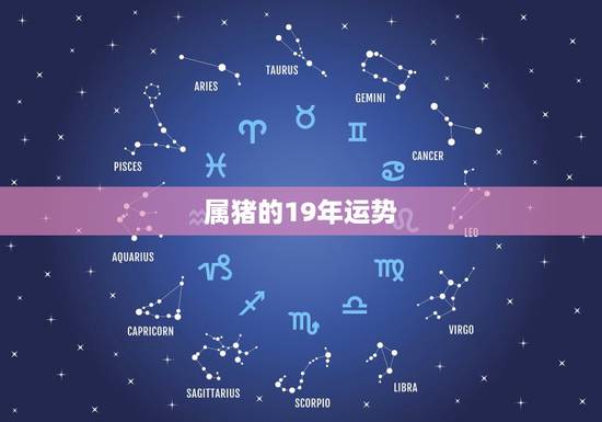 属猪的19年运势，属猪人在2019年运势