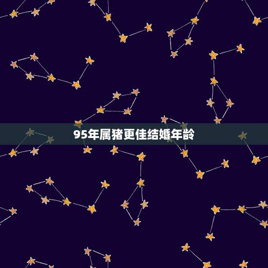 95年属猪更佳结婚年龄,属猪忌讳几月出生 95年属猪更佳结婚年龄,属猪忌讳几月出生