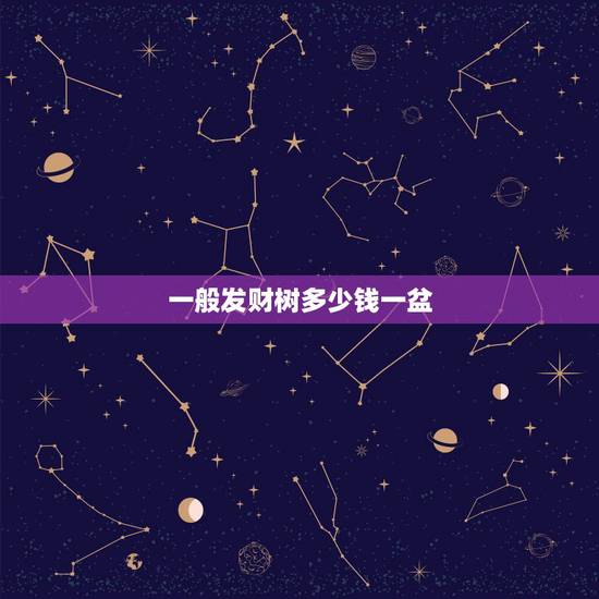 一般发财树多少钱一盆，发财树的价钱分别是多少？